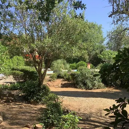 La Sokina